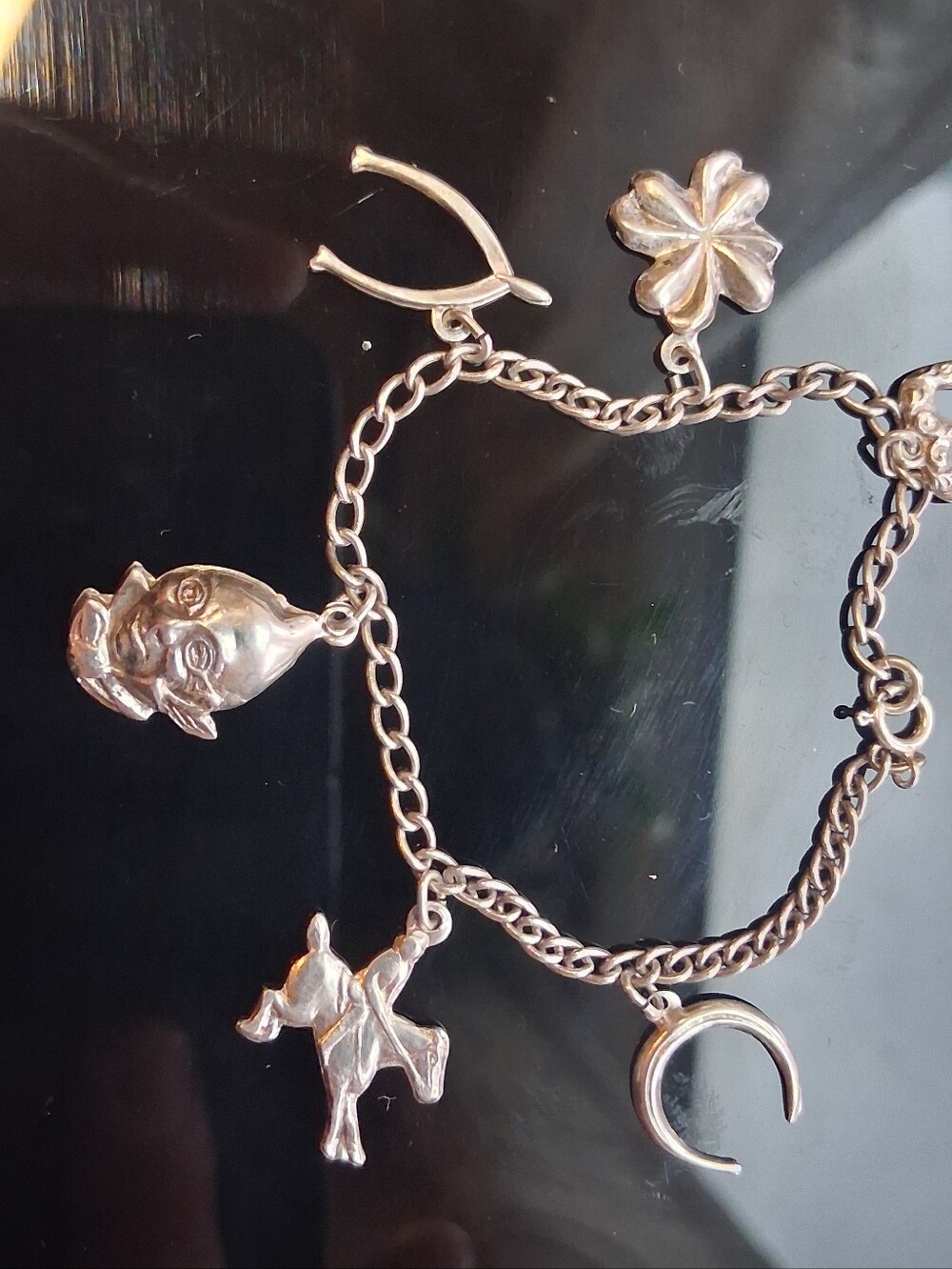 moSterling Silver Charm Bracelet with Horseshoe, Clover & Animal Charms - 6.5"